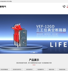 立枫电气官方网站