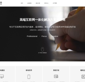 专业互联网软件定制开发公司