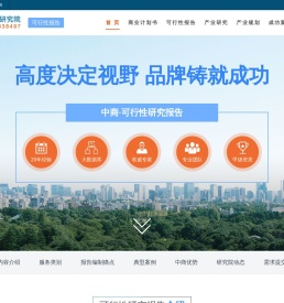 可行性研究报告