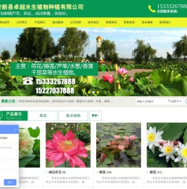 安新县卓越水生植物种植有限公司