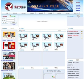 爱亚卡普信鸽