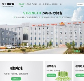 碱性电池,镍氢电池