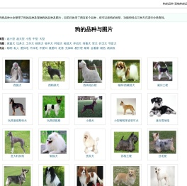 狗的品种