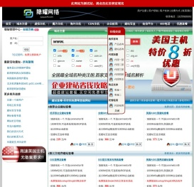 隐耀网络