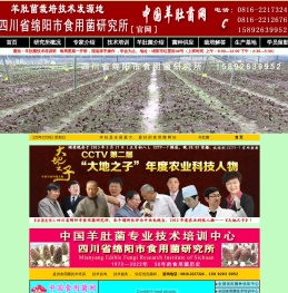 羊肚菌