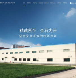 西安恒生堂制药有限公司