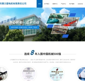 重庆赛力盟电机有限责任公司