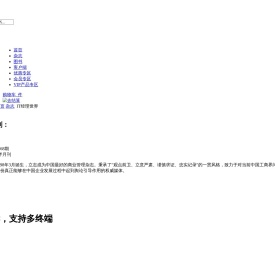 IT经理世界