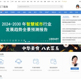豆丁报告