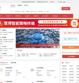 研究报告