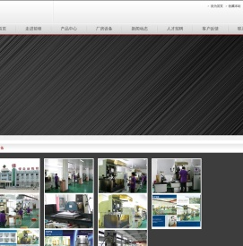 宁波前锋精密模具有限公司