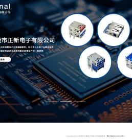 东莞市正新电子有限公司