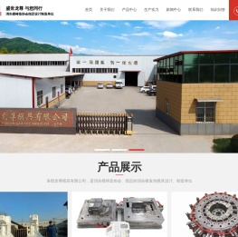 洛阳龙尊模具股份有限公司