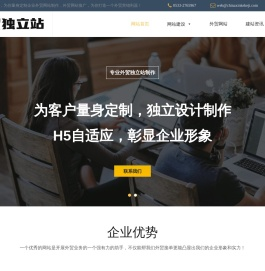外贸网站建设