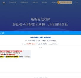 小码王