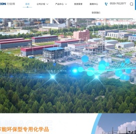 山东力宝得化工股份有限公司
