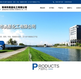 青州市奥星化工有限公司