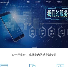 网页定制专家