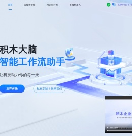 积木大脑