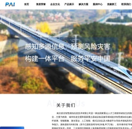 南京派光