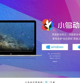 小鸟动态壁纸官网