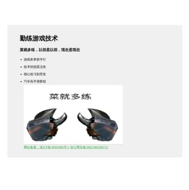 勤练游戏技术！