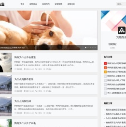 宠物先生