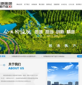 沣西集团