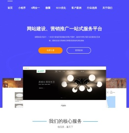 豪华定制网站开发