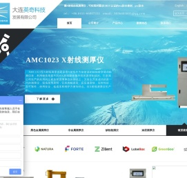 大连英奇科技发展有限公司