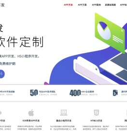 APP开发