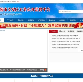铜陵义安区五务公开平台