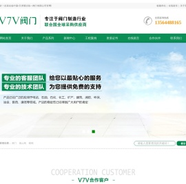 V7V阀门