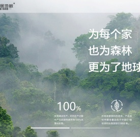 佰革居地板湖州佰革居木业科技有限公司