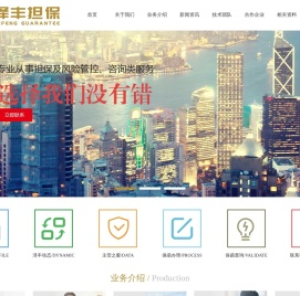 四川泽丰非融资性担保有限公司