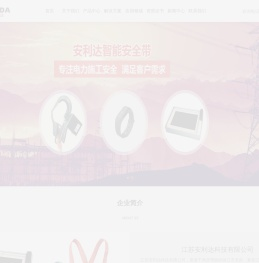 电网专用智能安全带