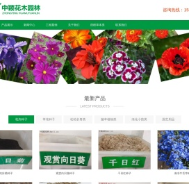 草坪种子