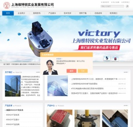 VSE齿轮流量计