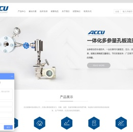 气体质量流量控制器