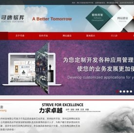 河南寻唐软件