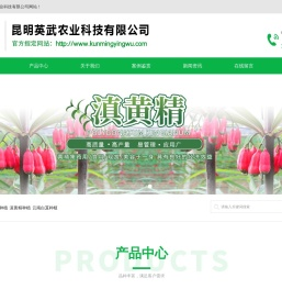 金银花种植
