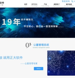 正大软件