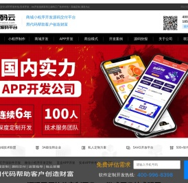 商城系统开发