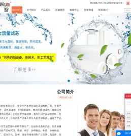 折叠滤芯厂家