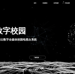 闪阅云