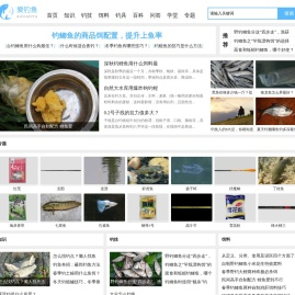 爱钓鱼