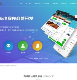 商城网站建设