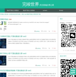 数据可视化大屏开发