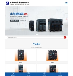 乐清市天龙电器有限公司