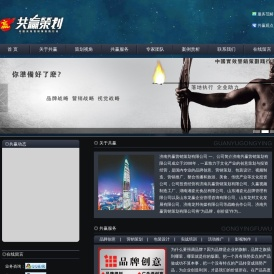 项目策划